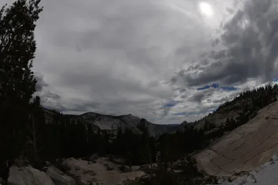 DSC_4409 (Large).JPG